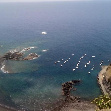 Carnaval A Tenerife La Laguna  Eksteriør bilde